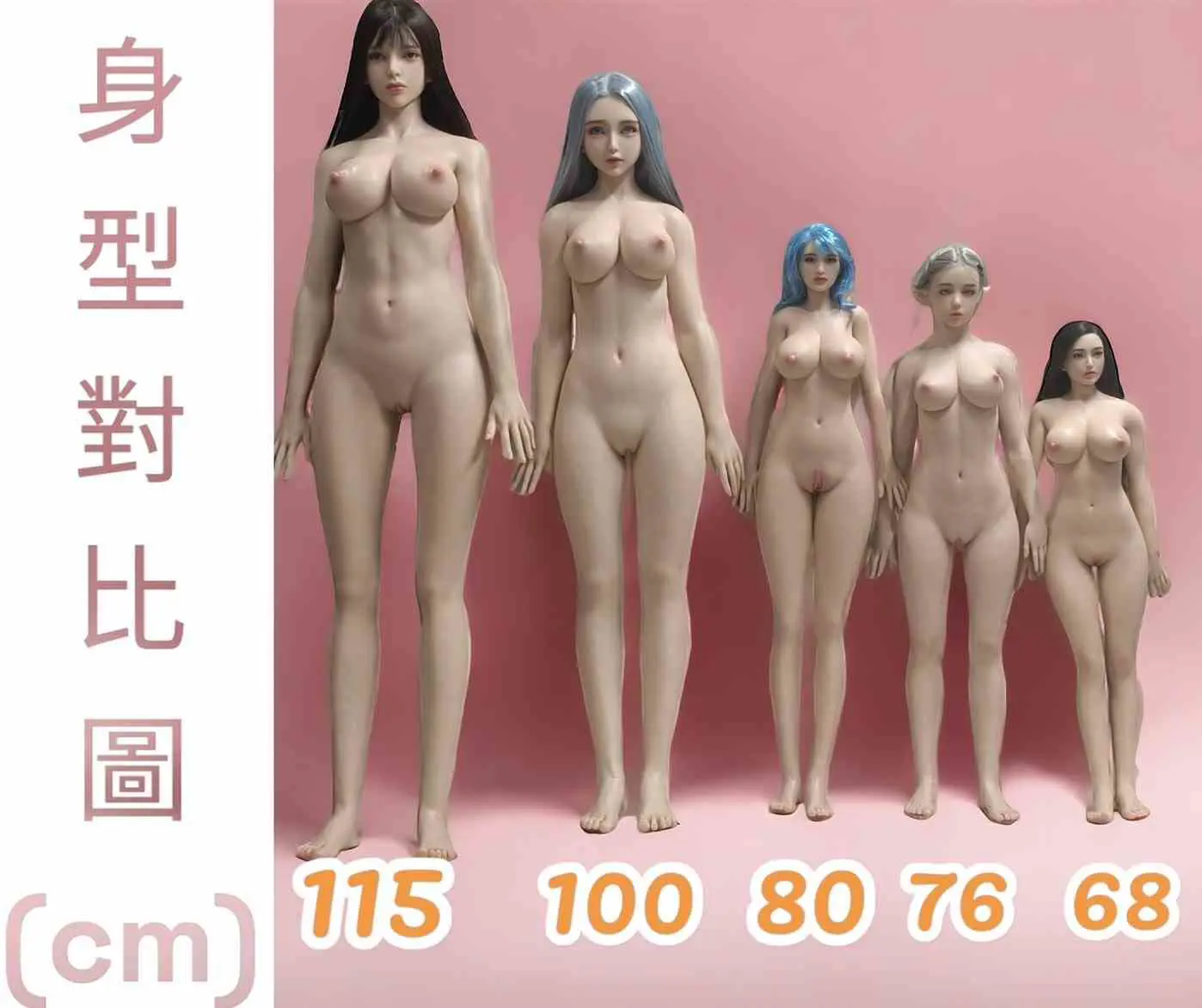 XNDOLL曉鳥娃娃 身高比例圖
