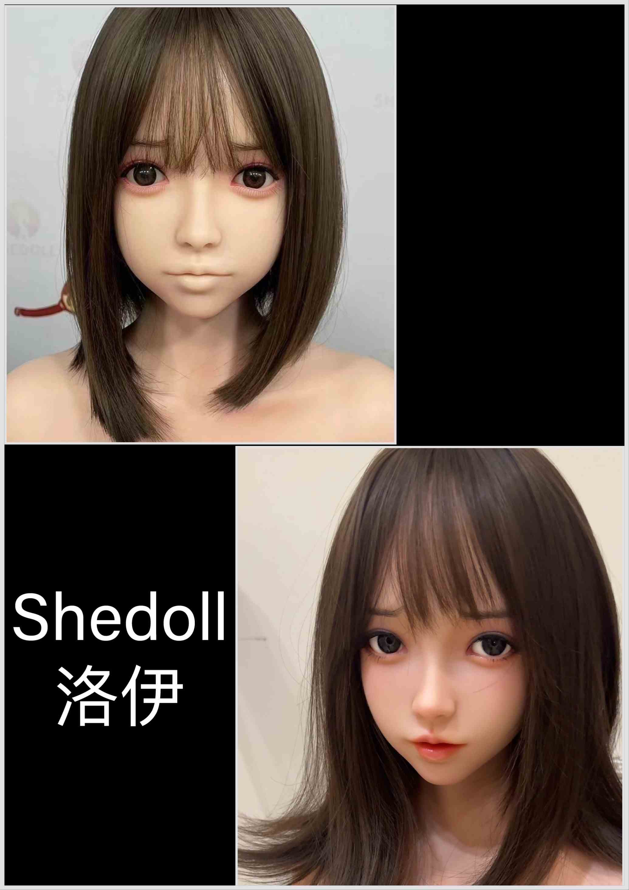 SHEDOLL 洛伊(客製)-1