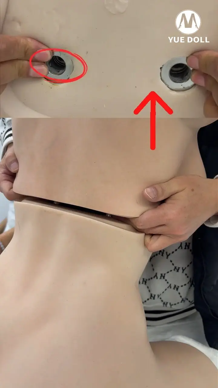 YUEDOLL悅互動 117cm頭身分體半身 安裝教學