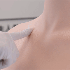 FANREAL凡瑞藝術 超减重柔軟度Softness Of New Weight Reduction