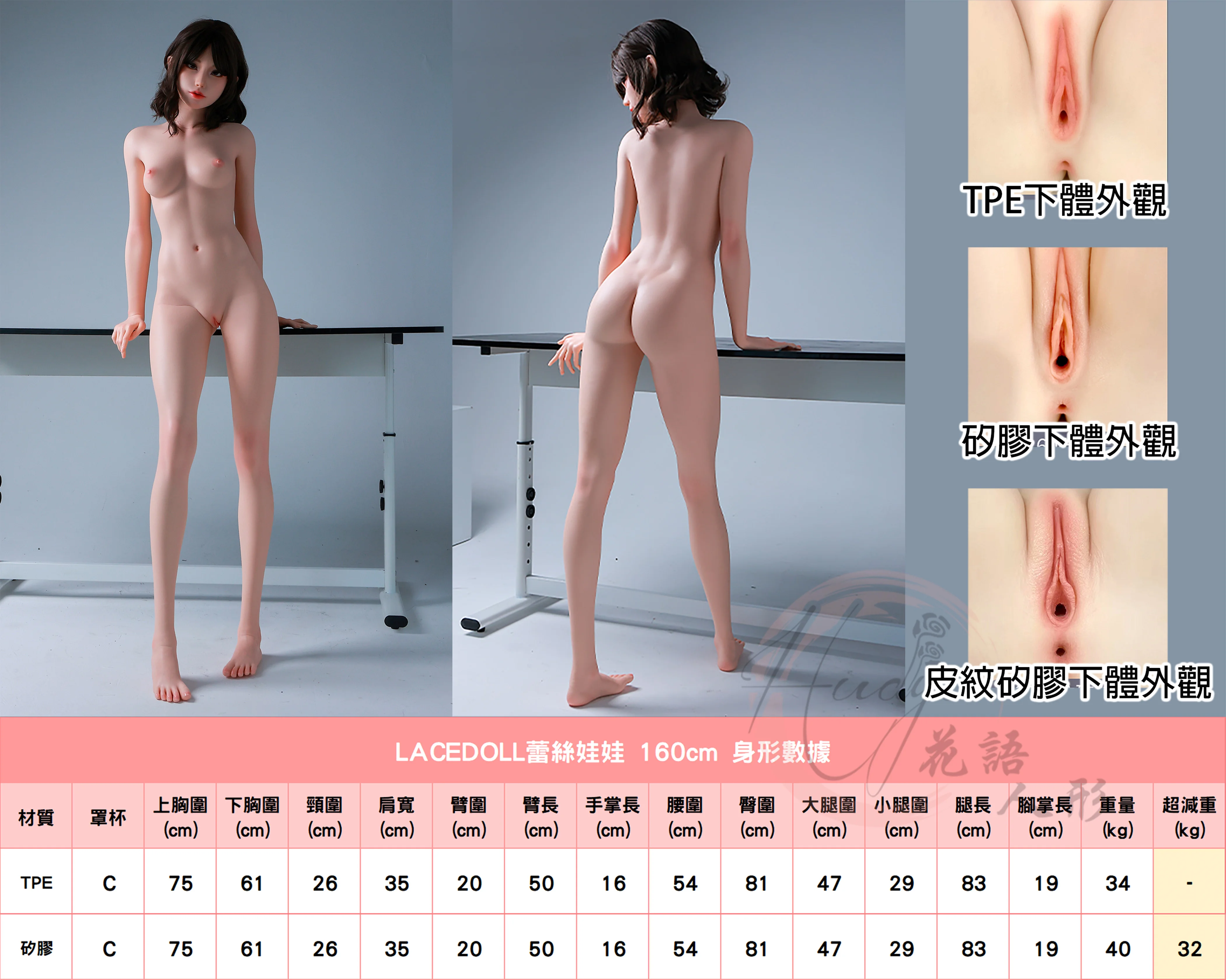 蕾絲娃娃_160cm(C)身形數據.jpg