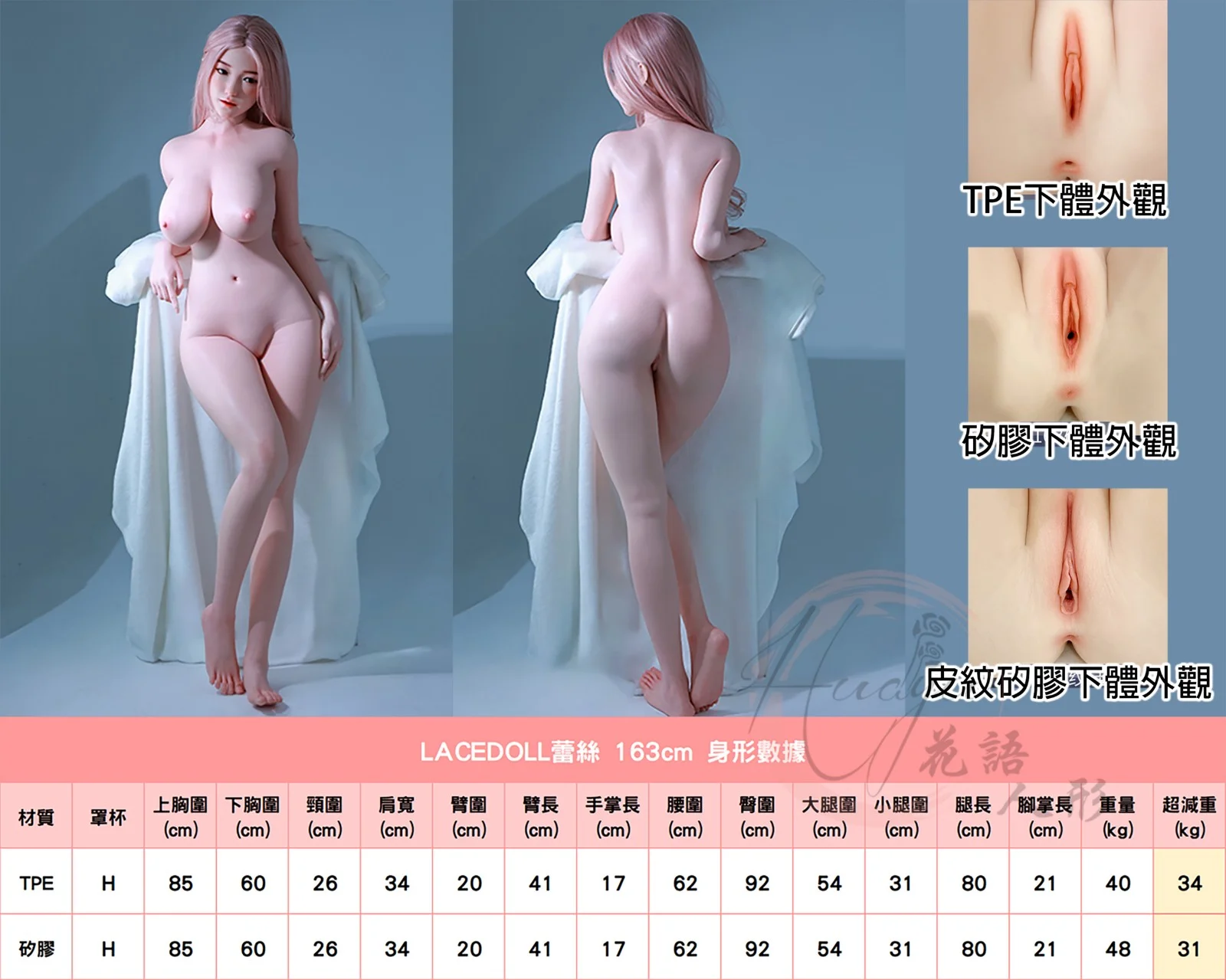 蕾絲娃娃_163cm(H)身形數據.jpg