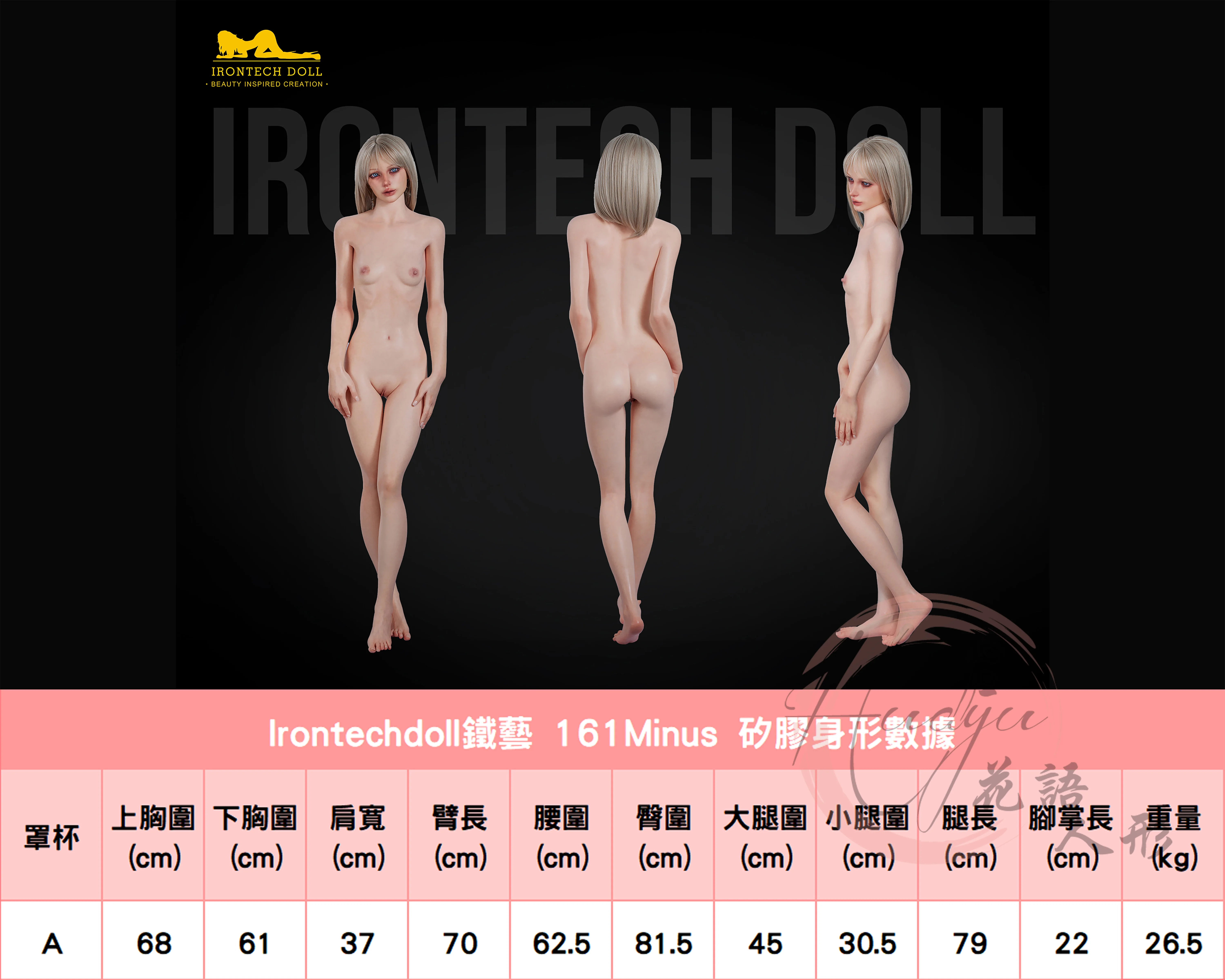 鐵藝161Minus(A)身形圖.jpg 鐵藝161Minus(A)身形圖.jpg