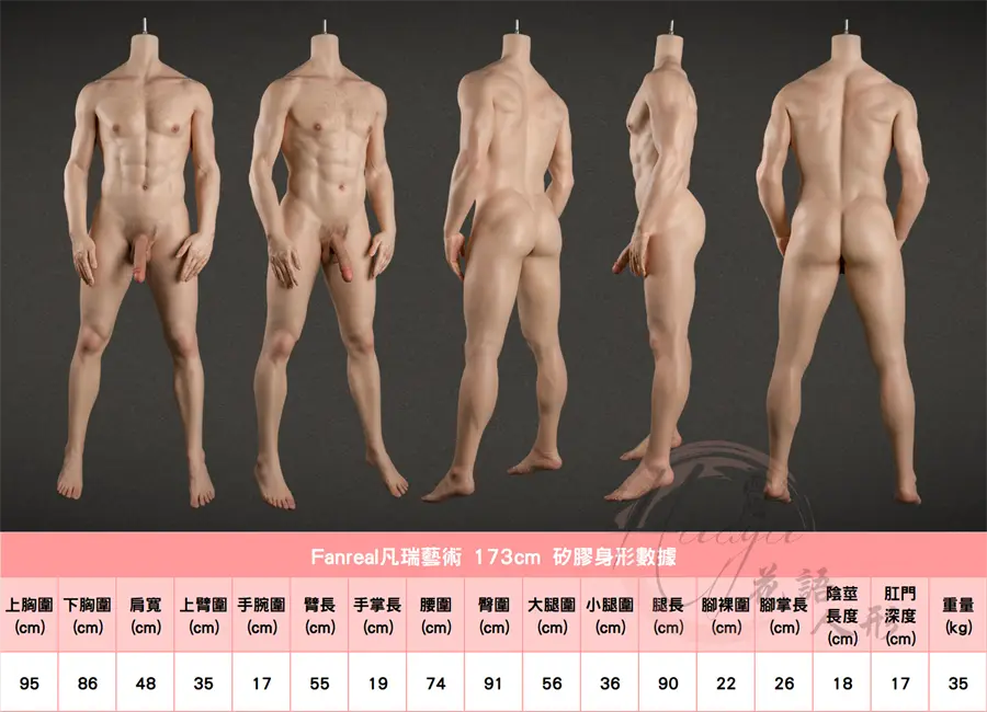 173男身形圖.jpg 173男身形圖.jpg