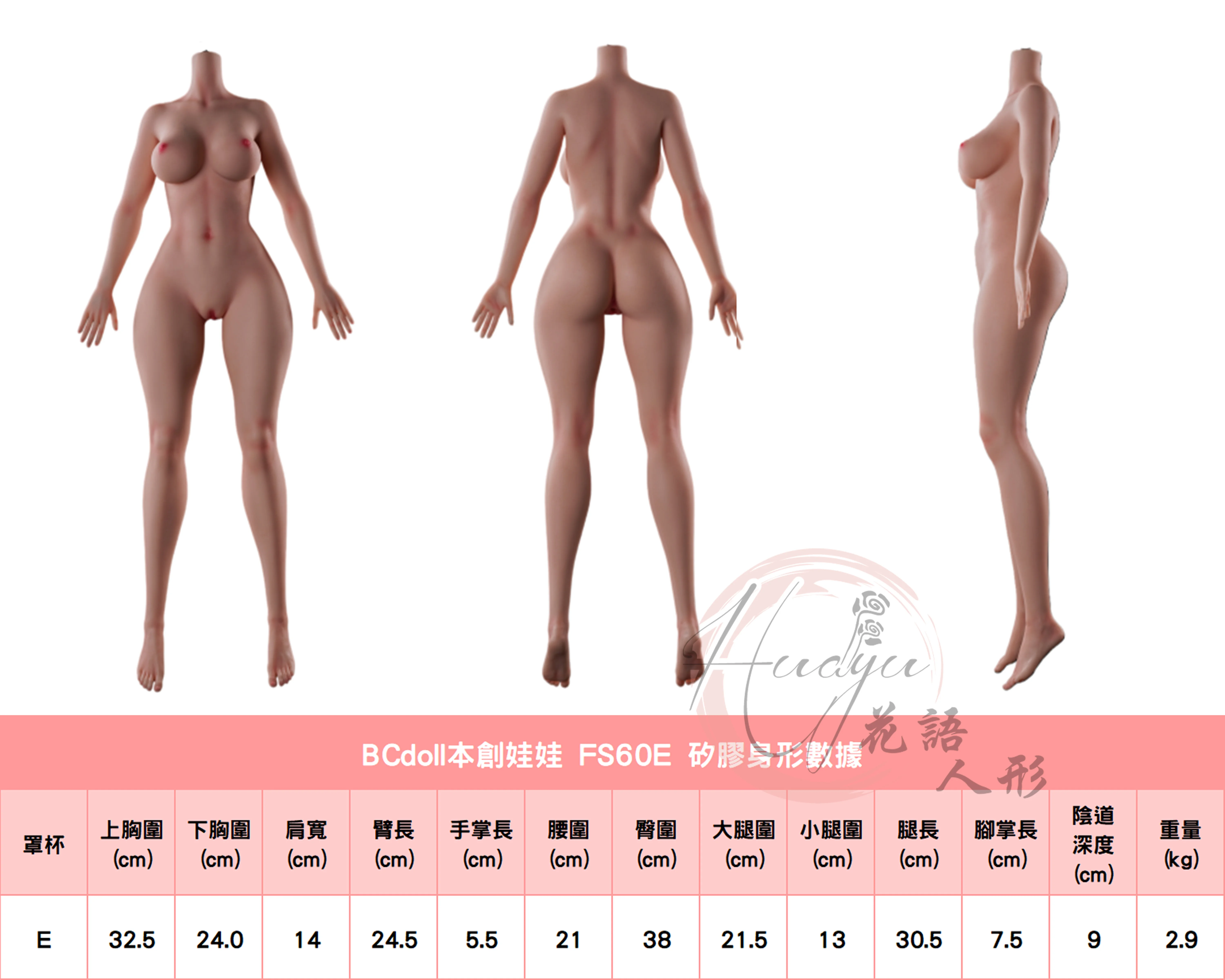 本創_FS60E身形圖.jpg