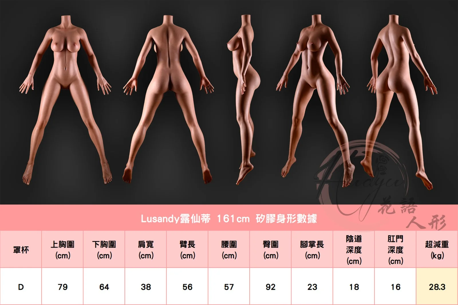 露仙蒂_161cm(D)身形圖.jpg 露仙蒂_161cm(D)身形圖.jpg