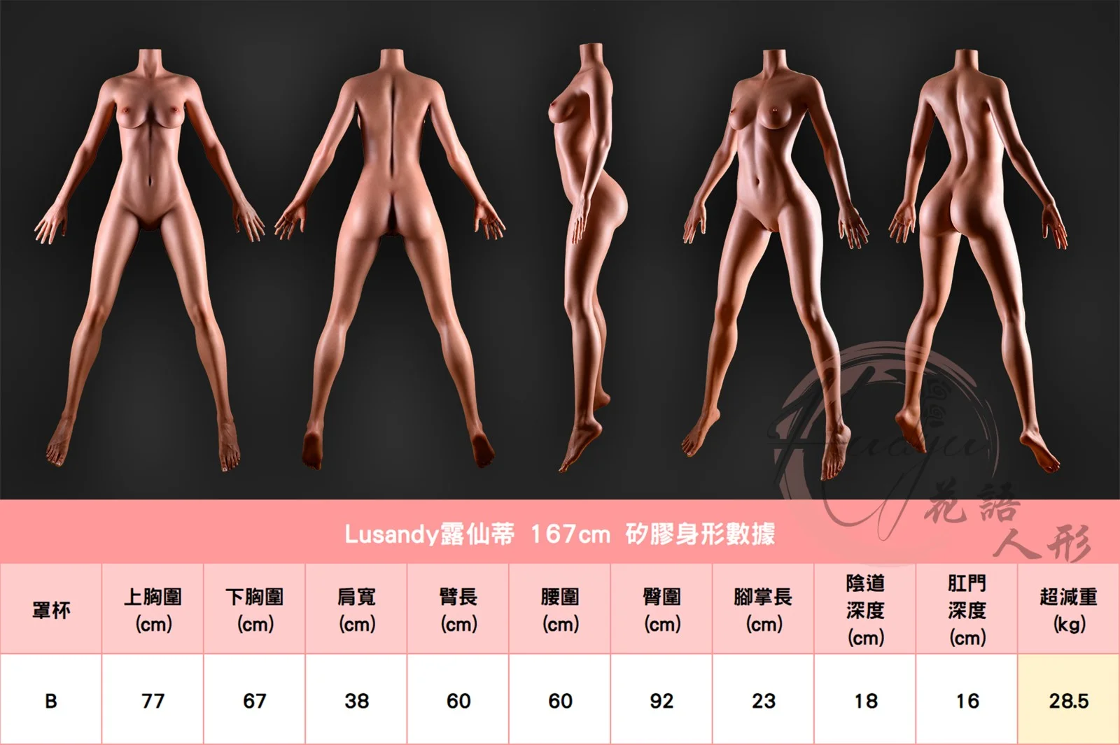 露仙蒂_167cm(B)身形圖.jpg 露仙蒂_167cm(B)身形圖.jpg