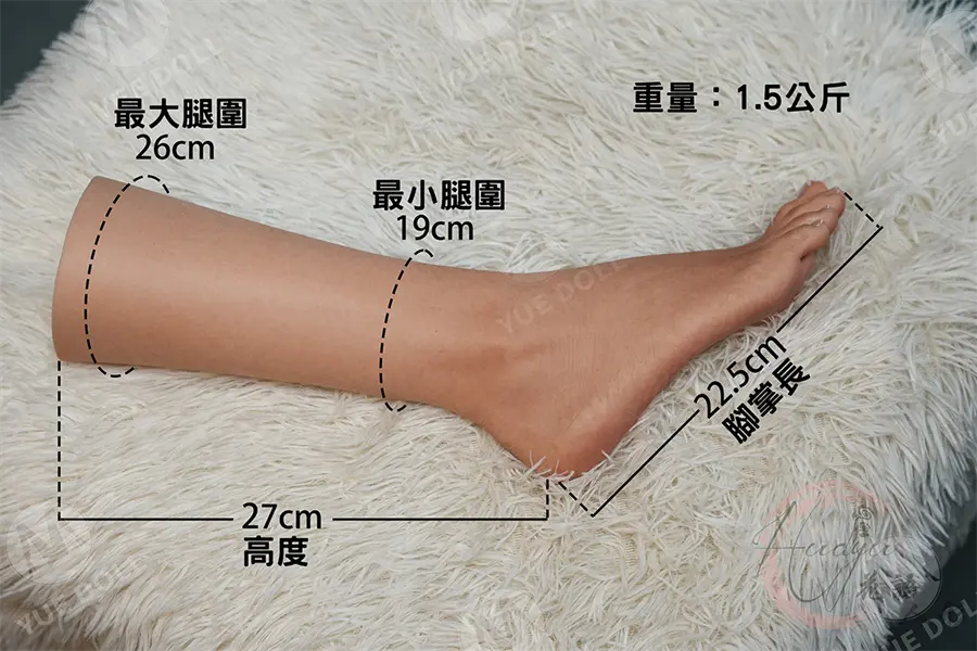 悅互動_腳模 身形圖.jpg