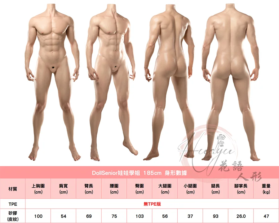 娃娃學姐身形數據NEW.jpg