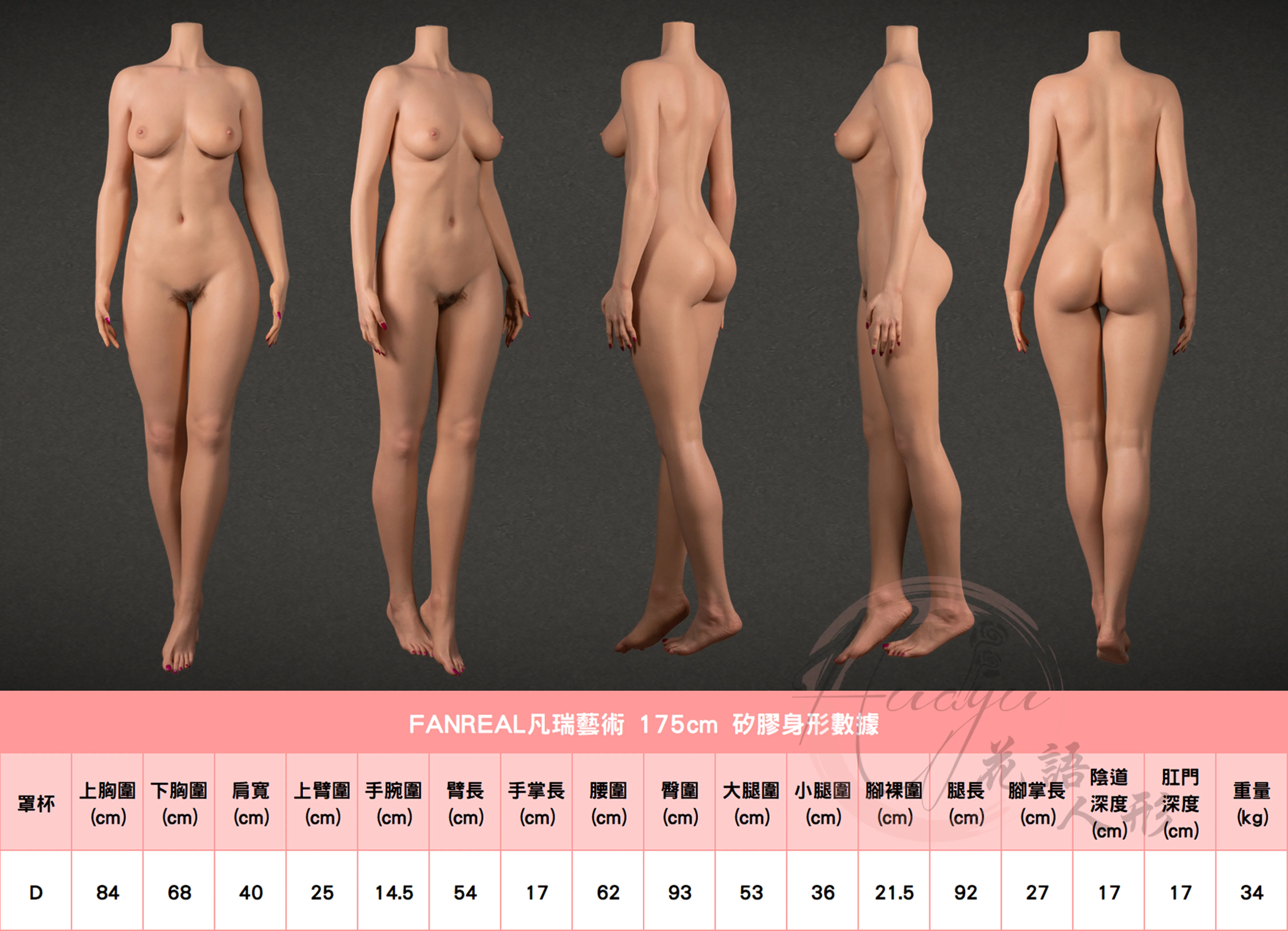 凡瑞_175cm(D)身形圖.jpg