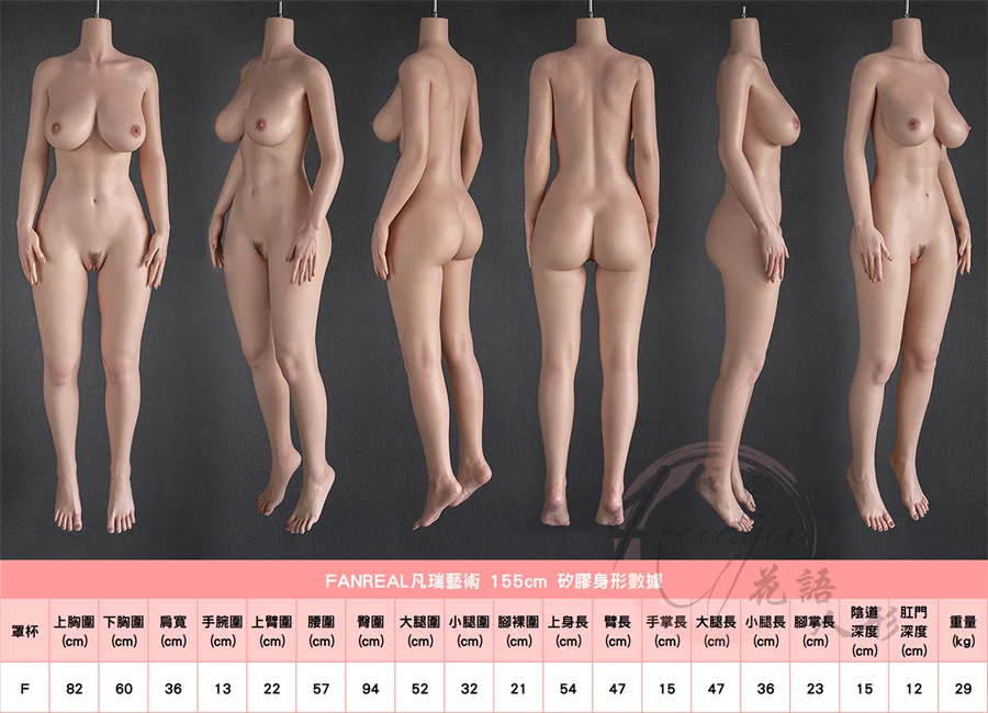 155F身形圖.jpg