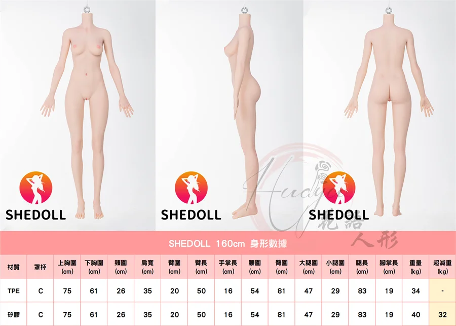SHEDOLL160身形圖.jpg
