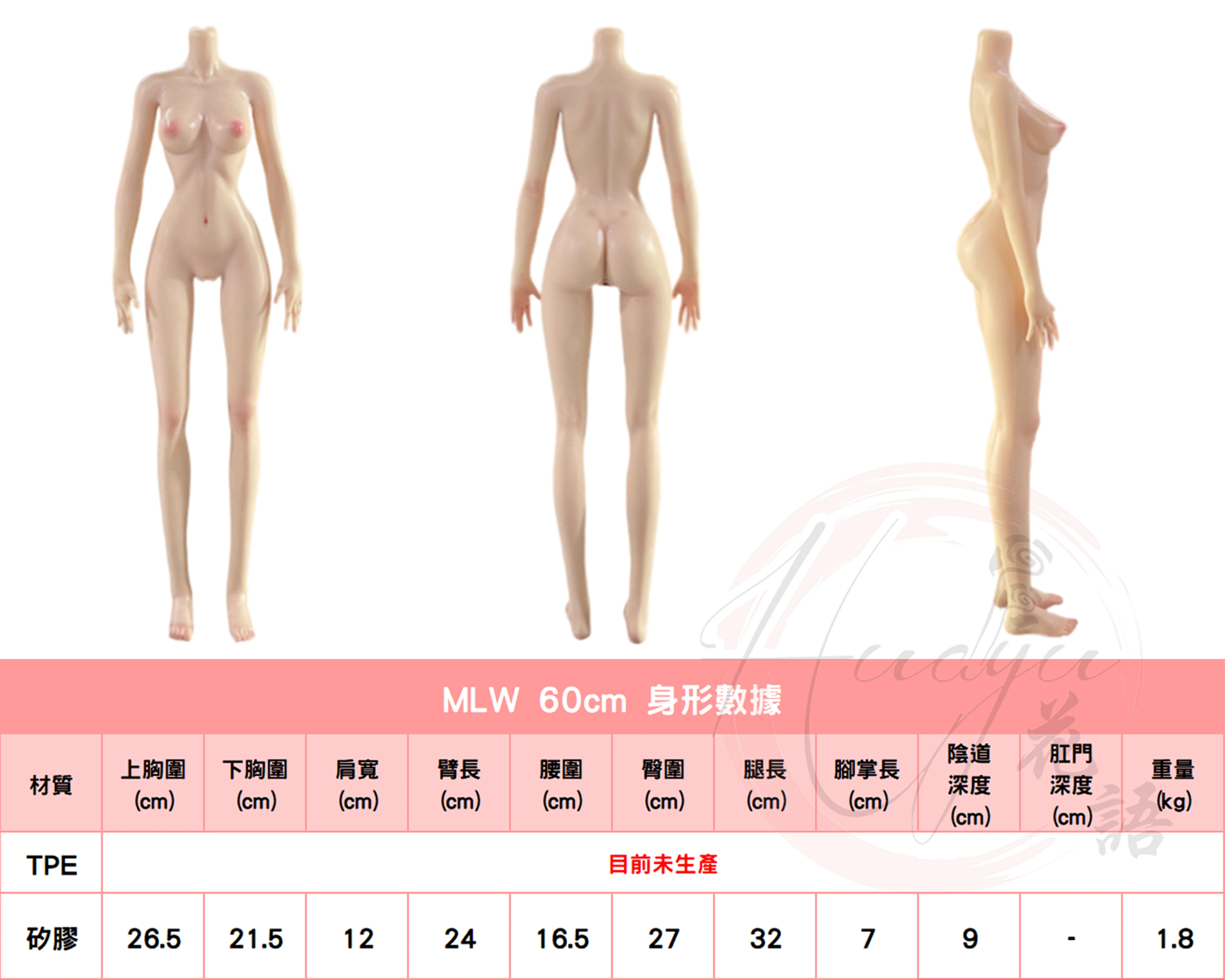 MLW_60cm_身形圖.jpg MLW_60cm_身形圖.jpg