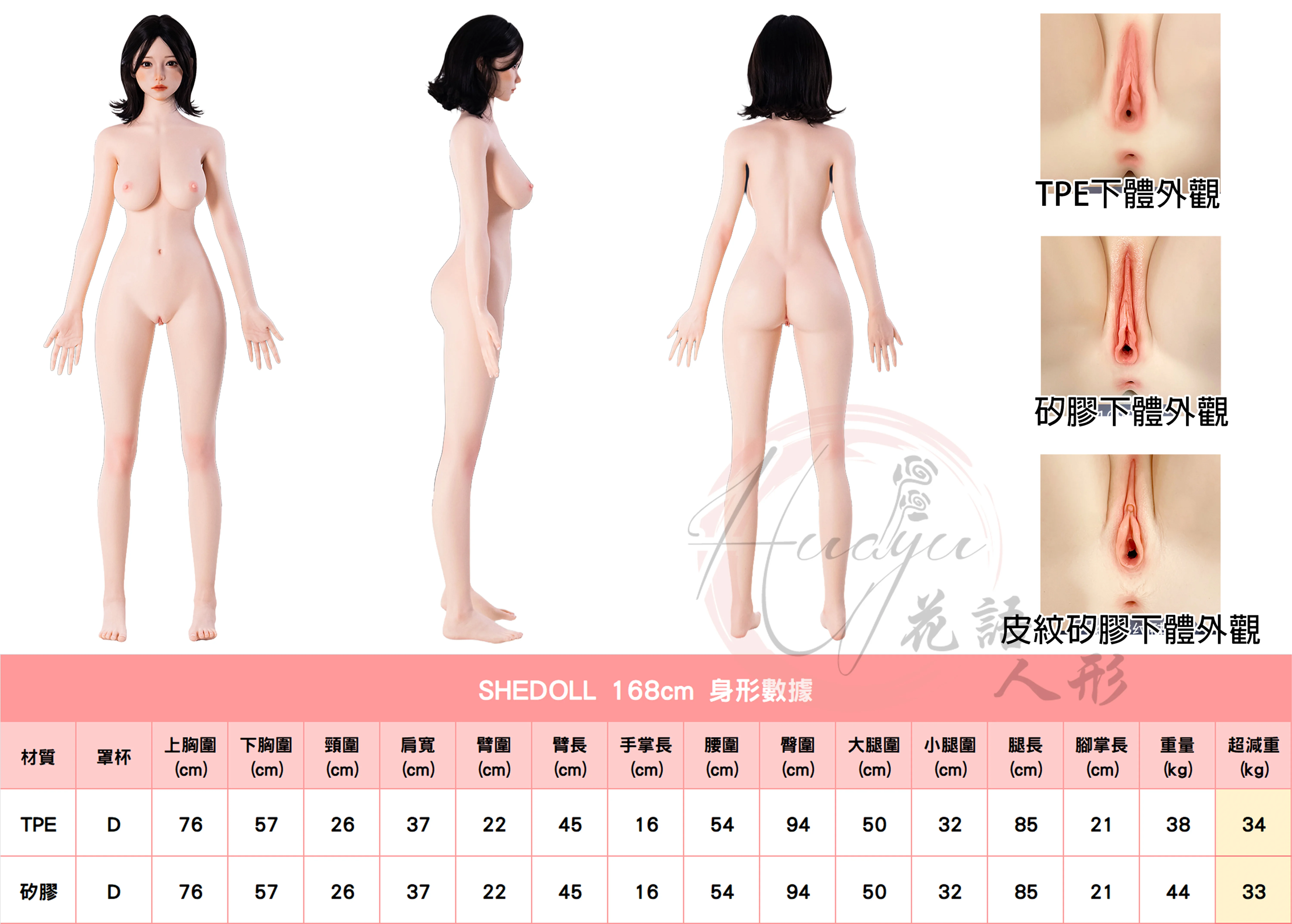 SHEDOLL_168(D)身形圖.jpg