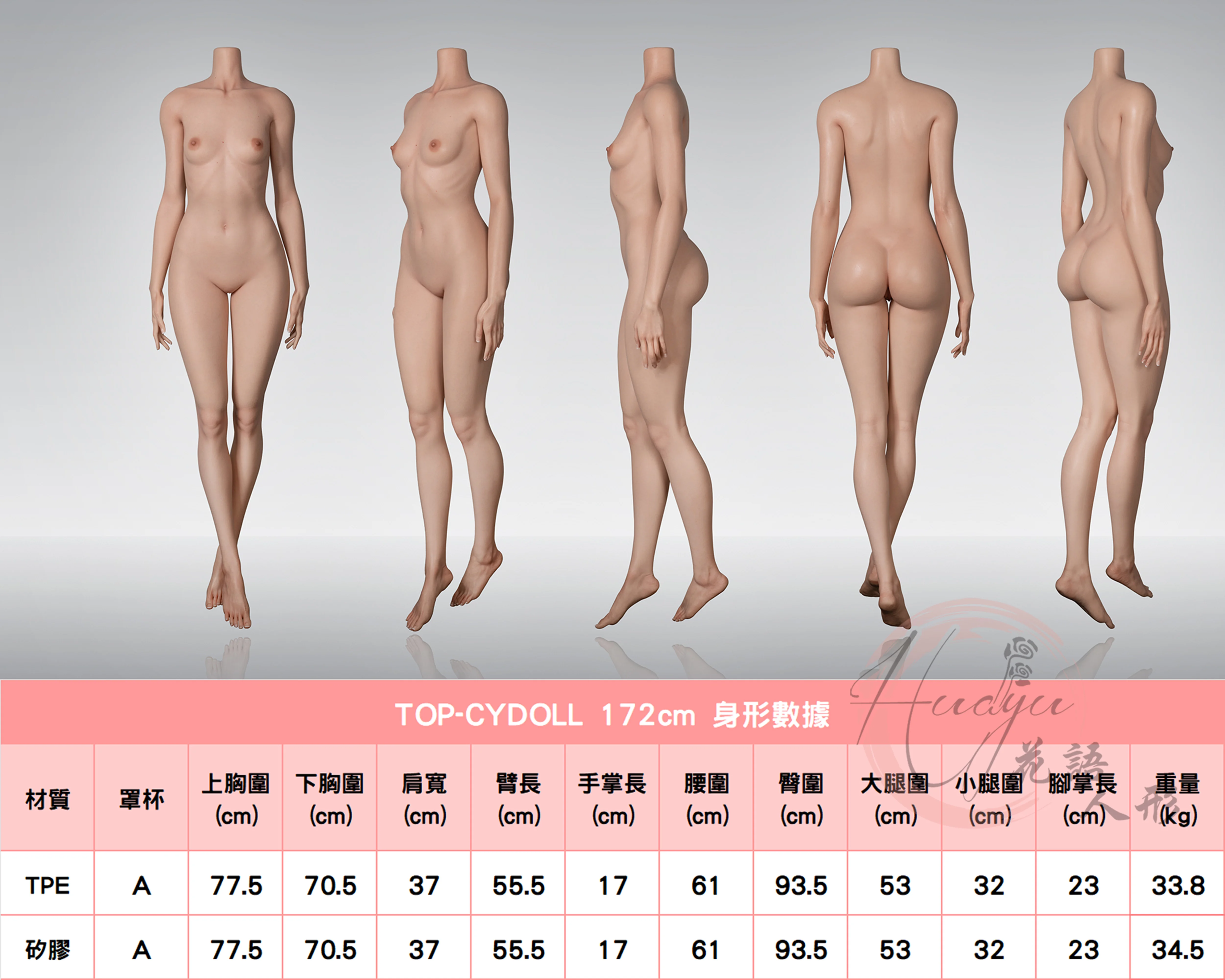 TOP-CYDOLL_172cm身形圖.jpg TOP-CYDOLL_172cm身形圖.jpg