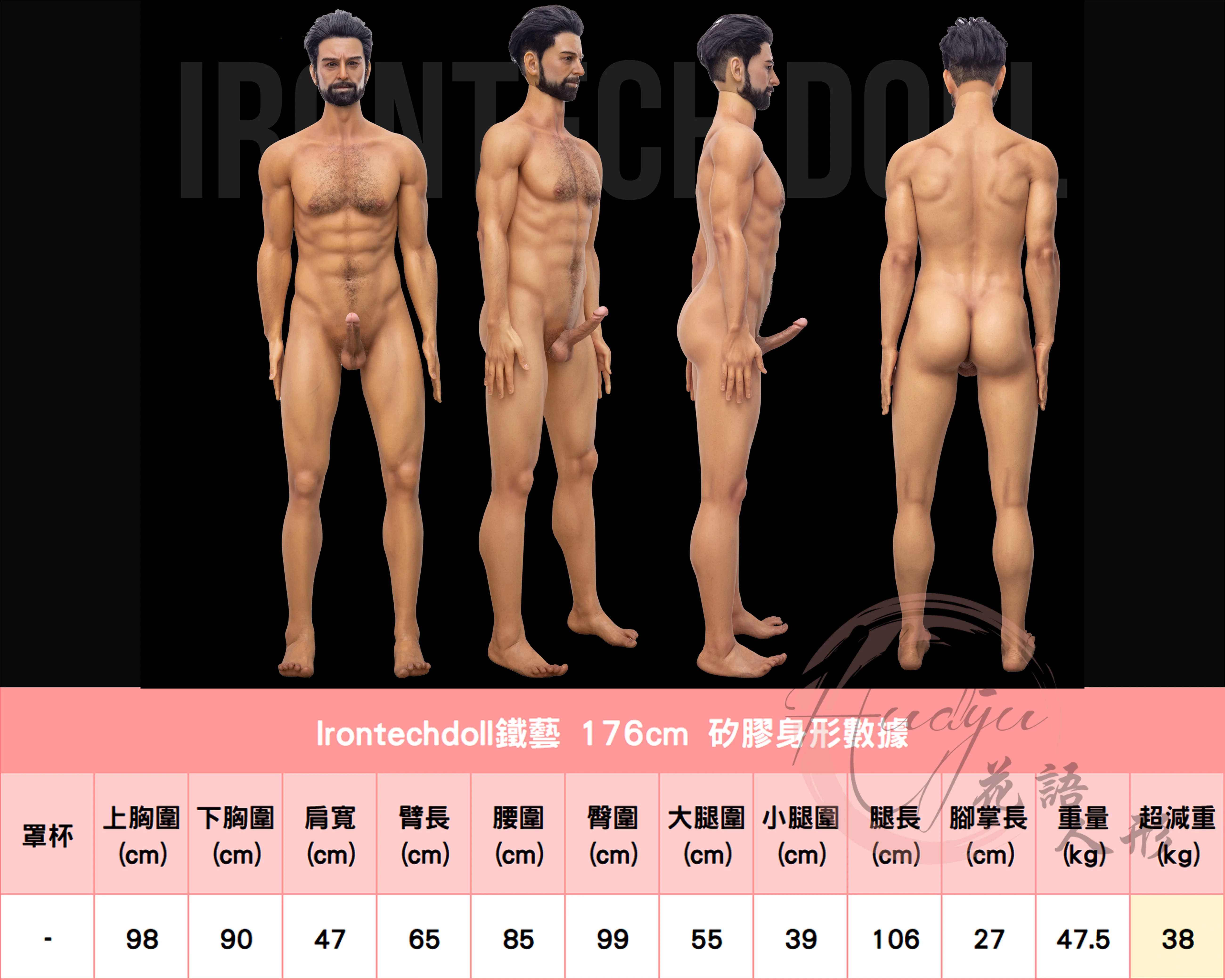 鐵藝_男娃-176cm身形圖.jpg