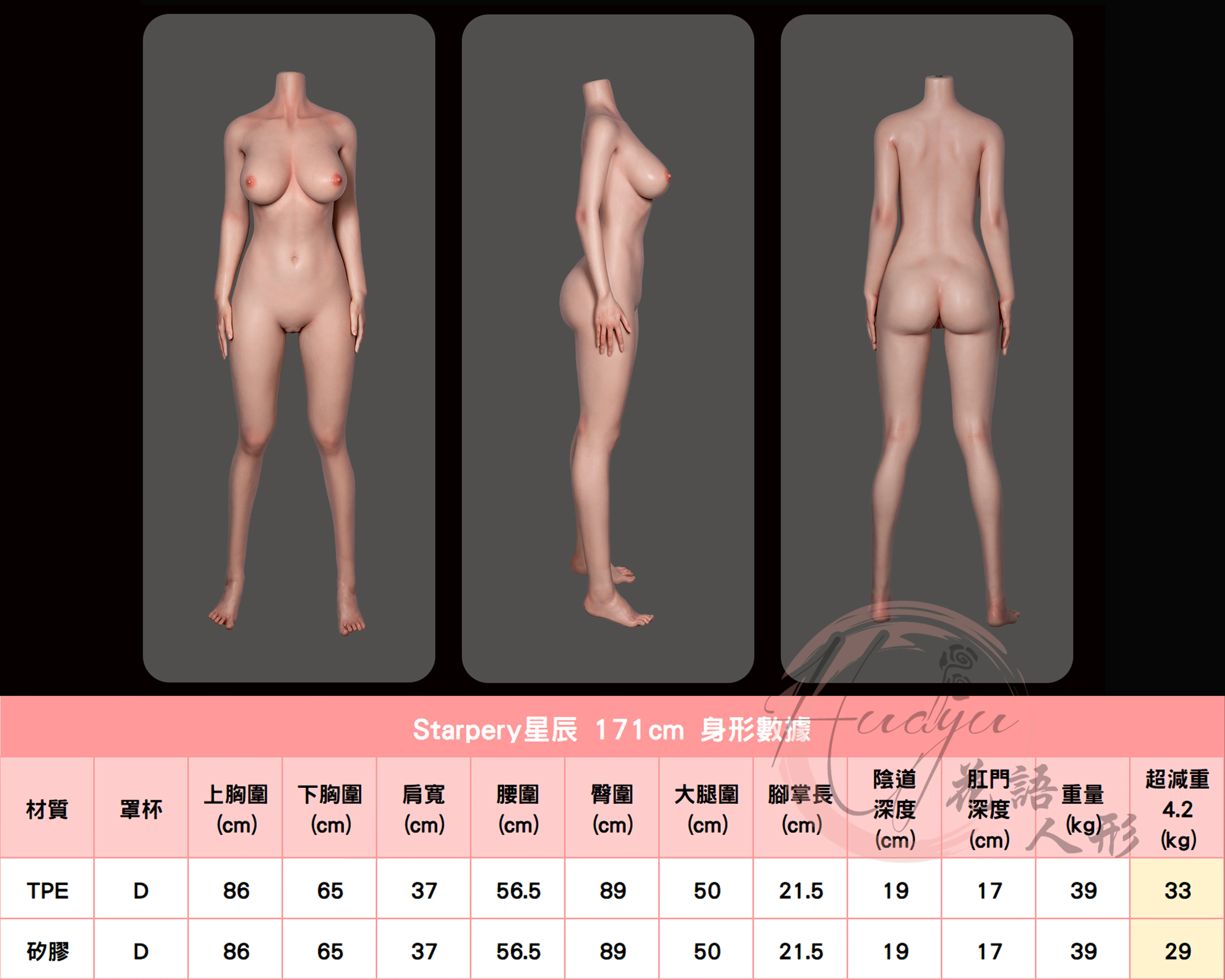 STARPERY星辰_171cm(D)身形圖.jpg